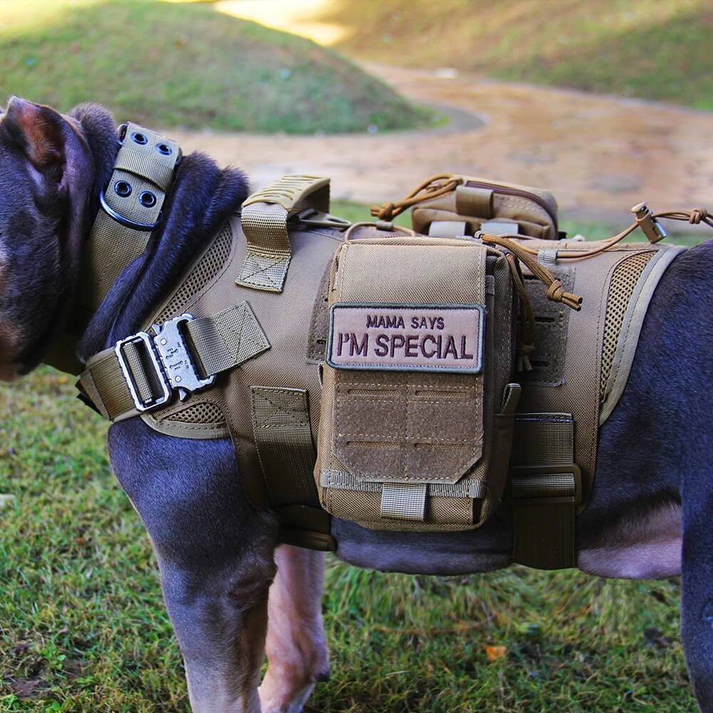 Tactical Dog Harness