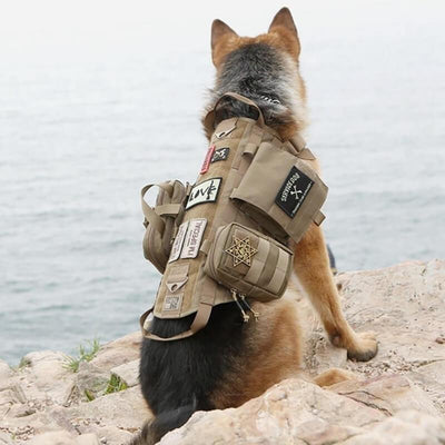 Miles Tactical Dog Leash Heavy Duty